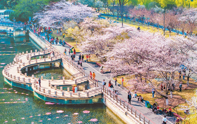 文章附图